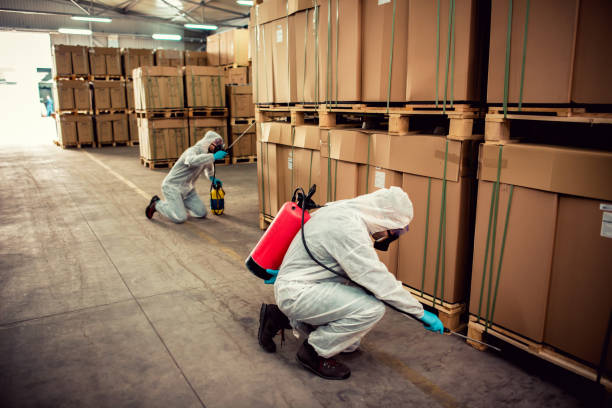 Best Residential Pest Control  in Vivian, LA