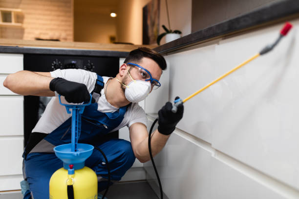 Reliable Vivian, LA Pest Control Solutions