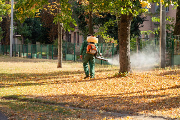 Best Wasp Removal Services  in Vivian, LA