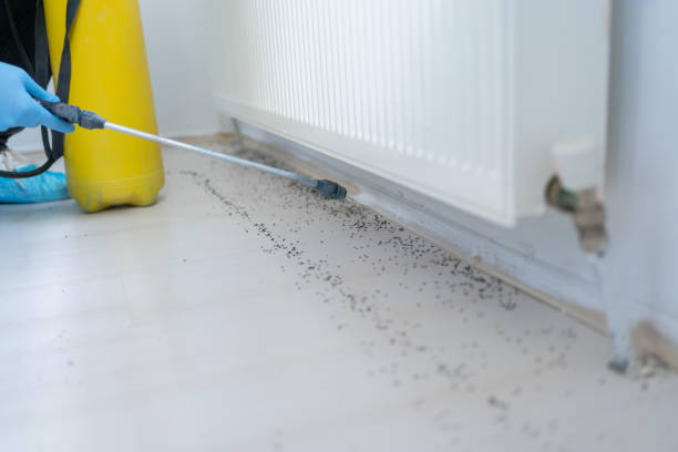 Best Best Pest Control Companies  in Vivian, LA
